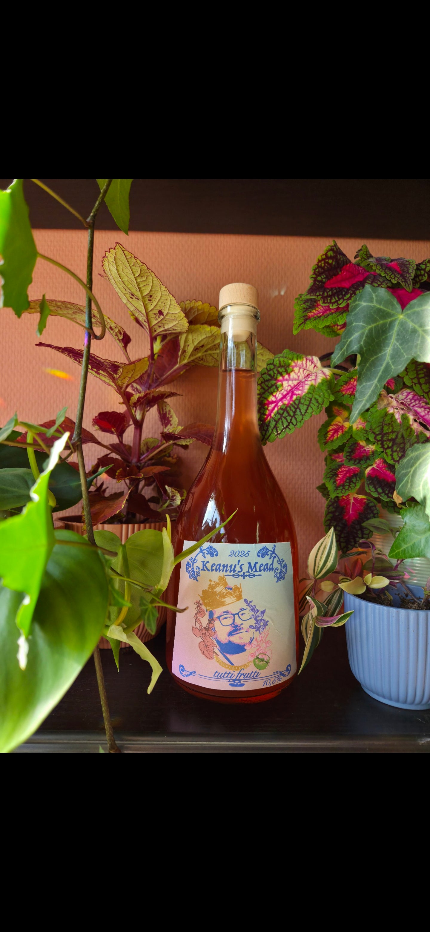 Tutti Frutti - 10,5%
